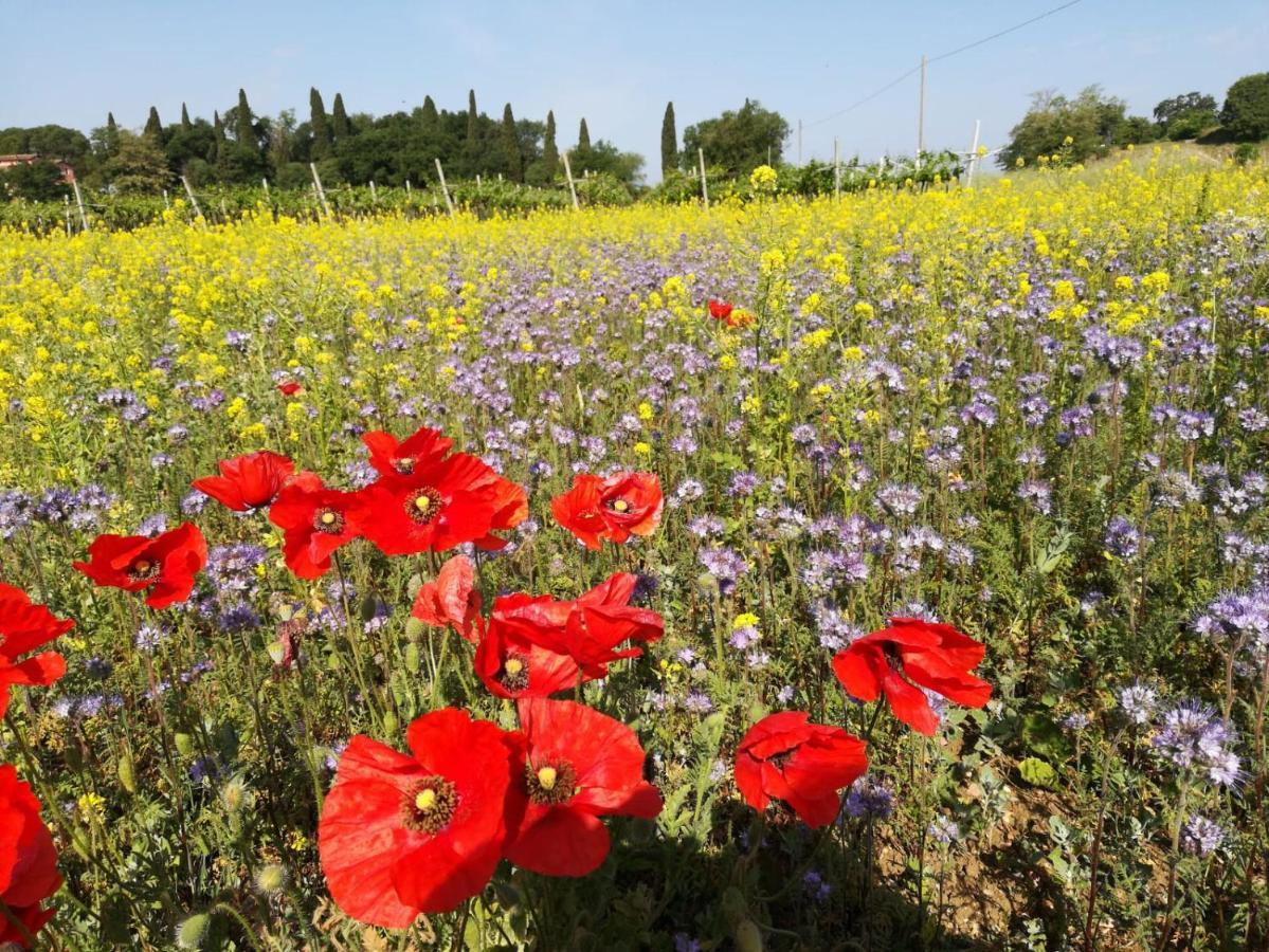 Casabencio Villa Lazise Esterno foto