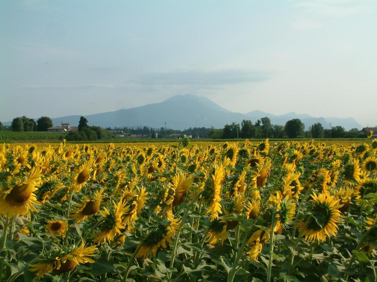 Casabencio Villa Lazise Esterno foto