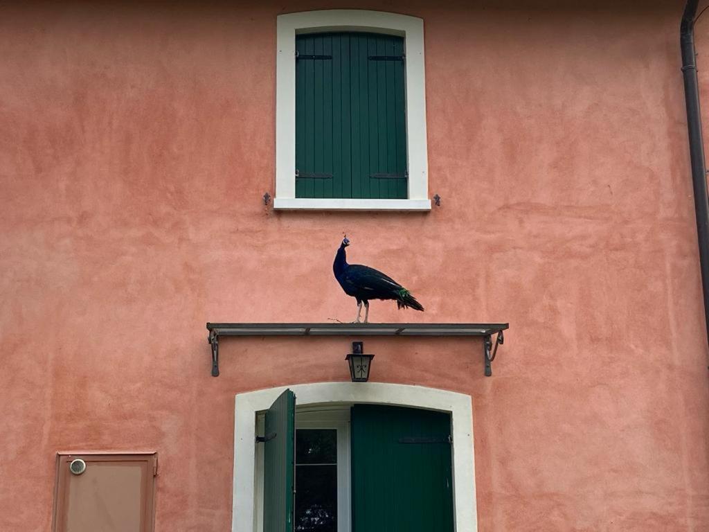 Casabencio Villa Lazise Esterno foto