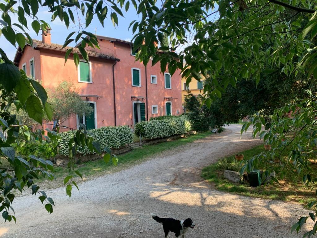 Casabencio Villa Lazise Esterno foto